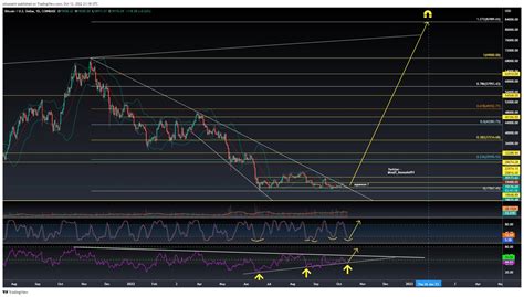 Pump, Bear, RSI
